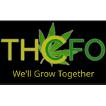 THCFO Accounting, LLC